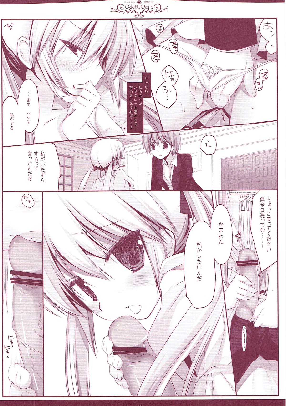 (COMIC1☆6) [D・N・A.Lab. (ミヤスリサ)] Classic5 (よろず)