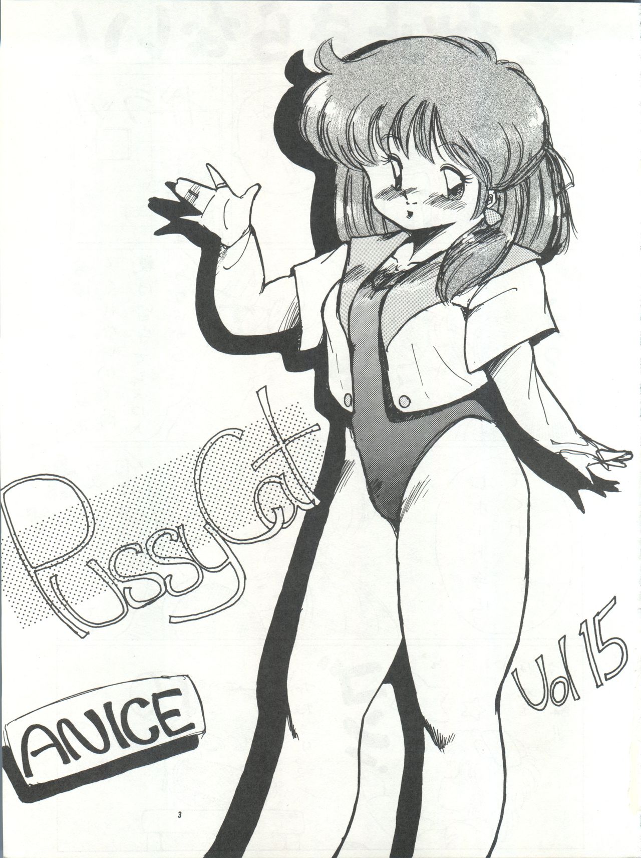 [PUSSY・CAT (大野哲也)] PUSSY･CAT Vol.15 (魔法のスターマジカルエミ、超音戦士ボーグマン)