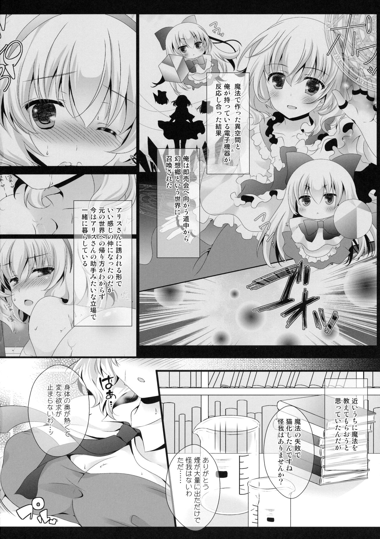 (紅楼夢12) [せとらん (イトウせと、タンノらん)] アリス・ワールド おもらしにゃんこ (東方Project)