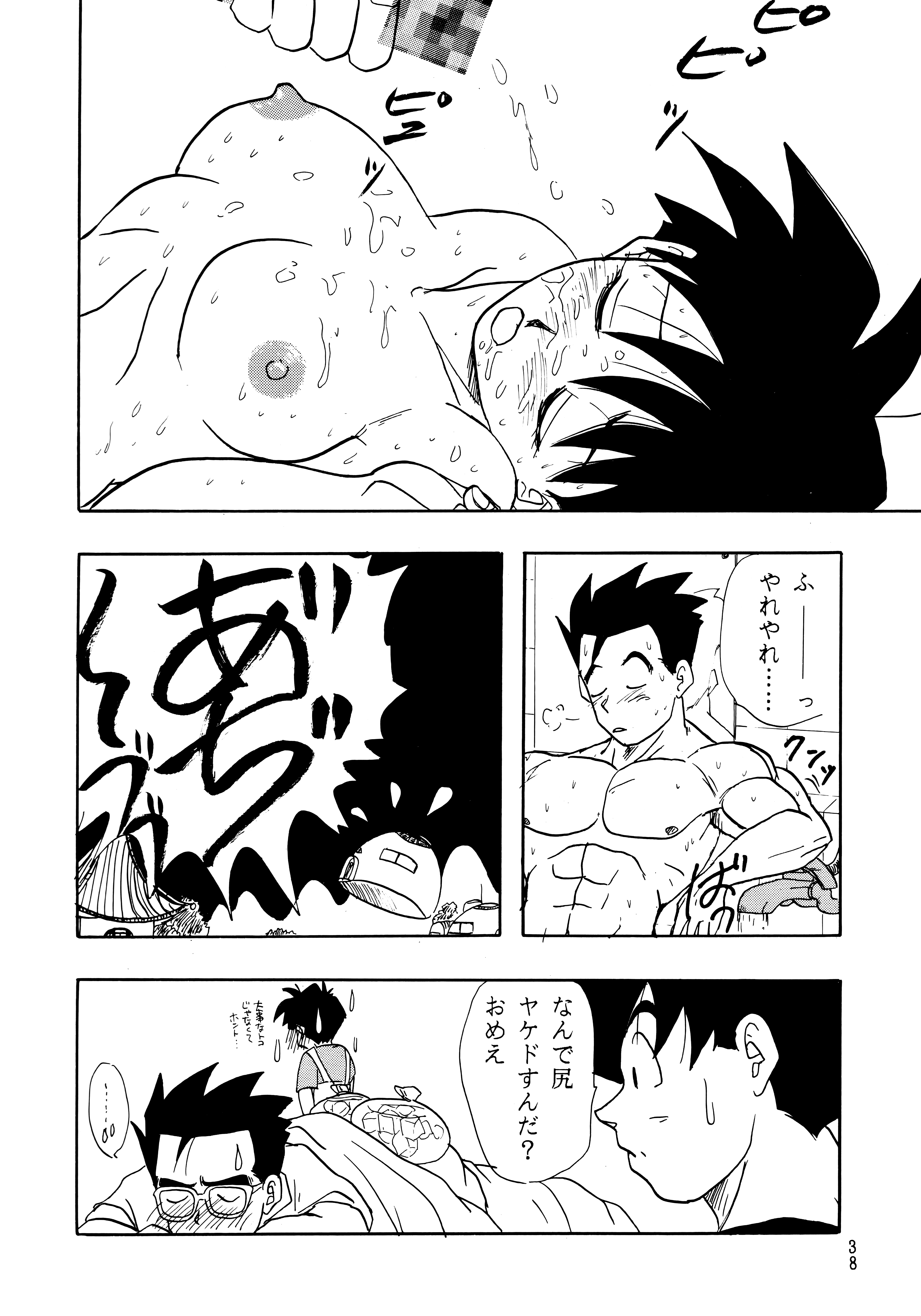 (C49) [ちり紙小屋、ふすま御殿 (障子張蔵)] Z (ドラゴンボールZ)