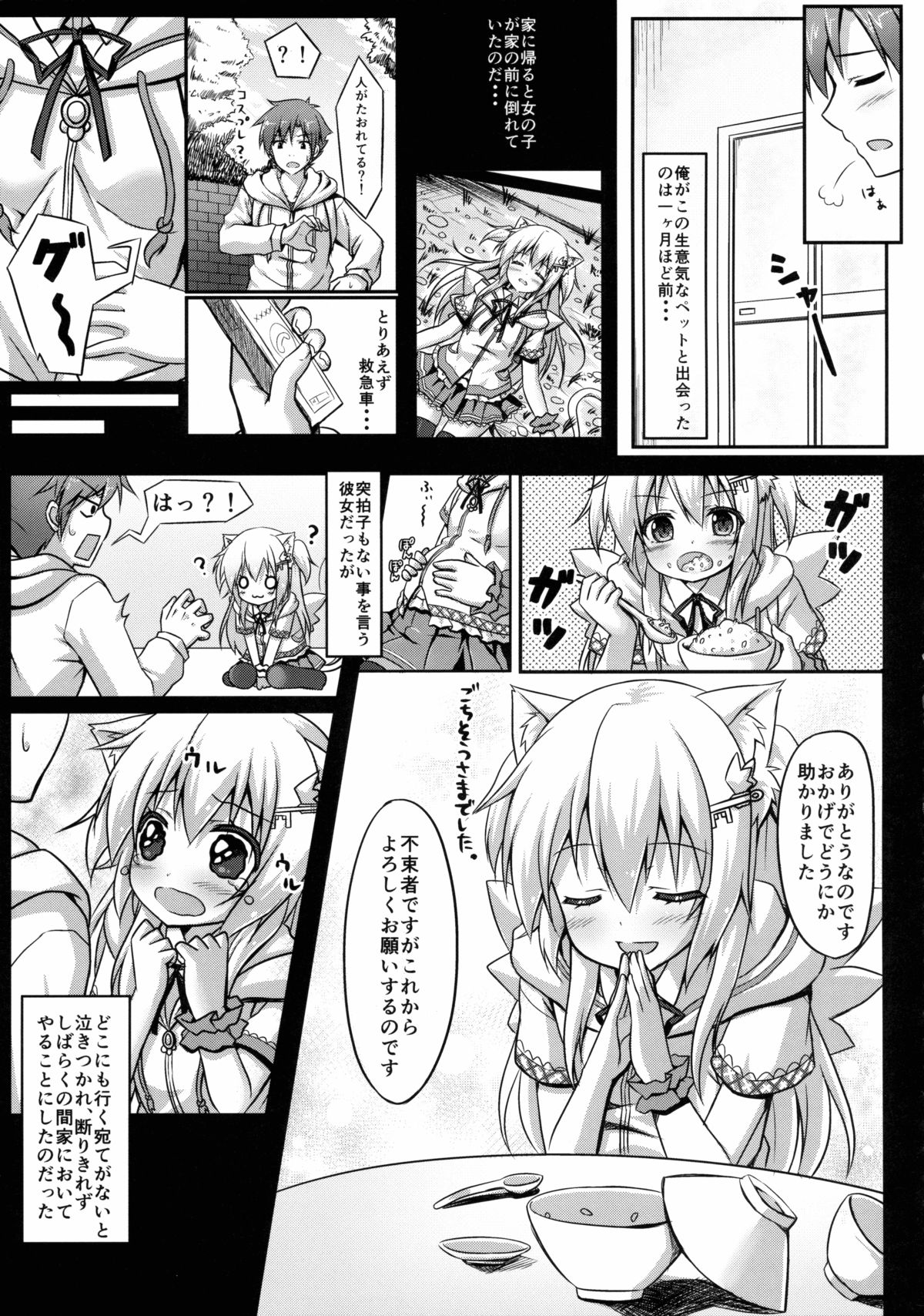 (C85) [あにまるハーブ (夜ノみつき)] ウチのペット事情