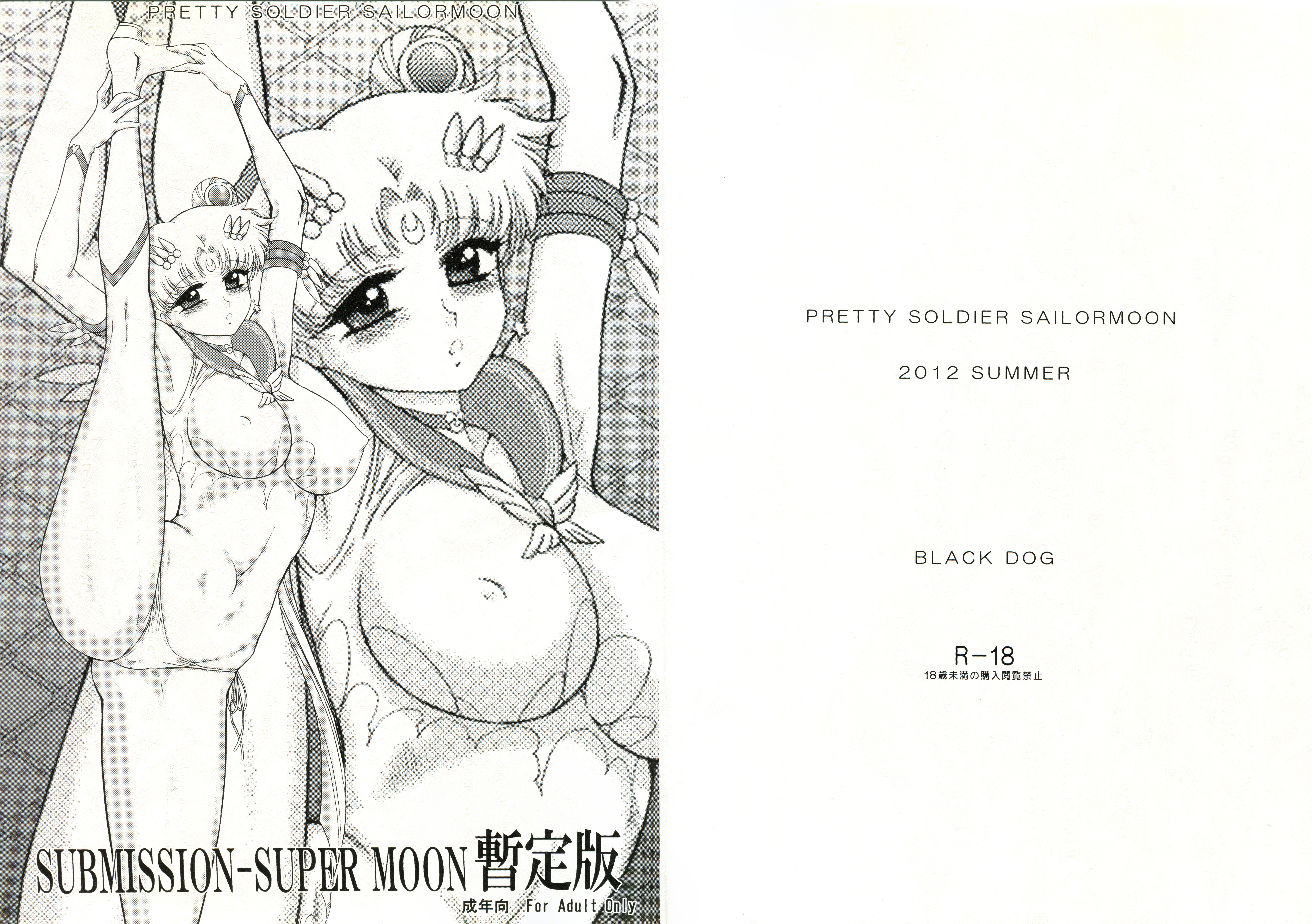 (C82) [BLACK DOG(黒犬獣)] SUBMISSION-SUPER MOON 暫定版 (美少女戦士セーラームーン)