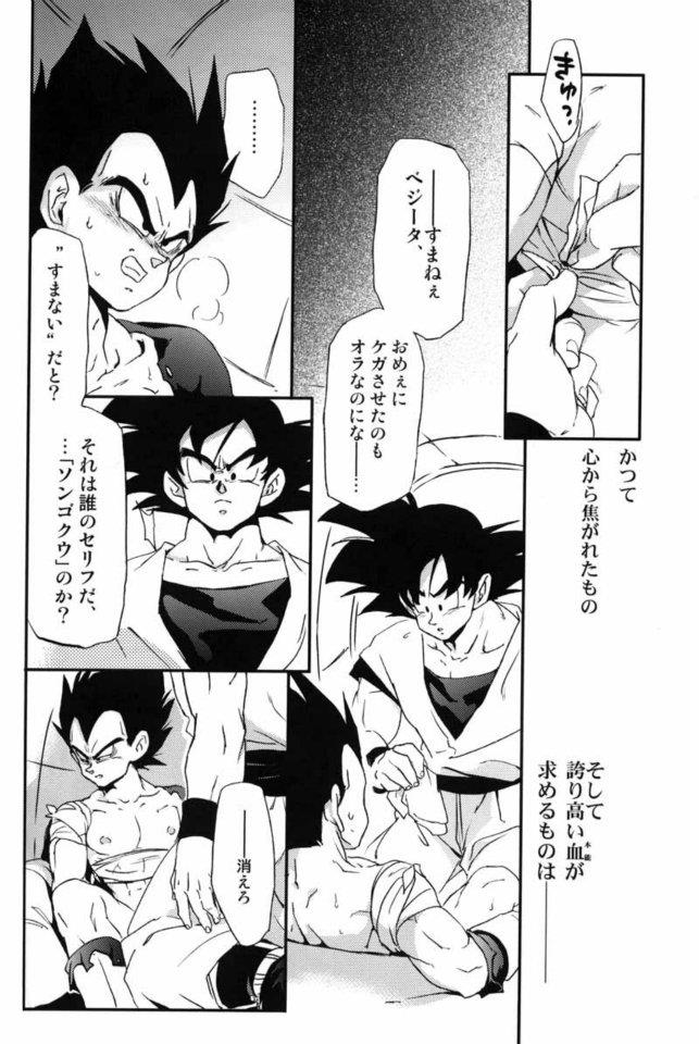 (C75) [毒銃龍 (ノラジ、狛川リミ)] ケモノたちは故郷をめざす (ドラゴンボールZ)