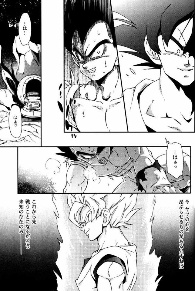 (C75) [毒銃龍 (ノラジ、狛川リミ)] ケモノたちは故郷をめざす (ドラゴンボールZ)