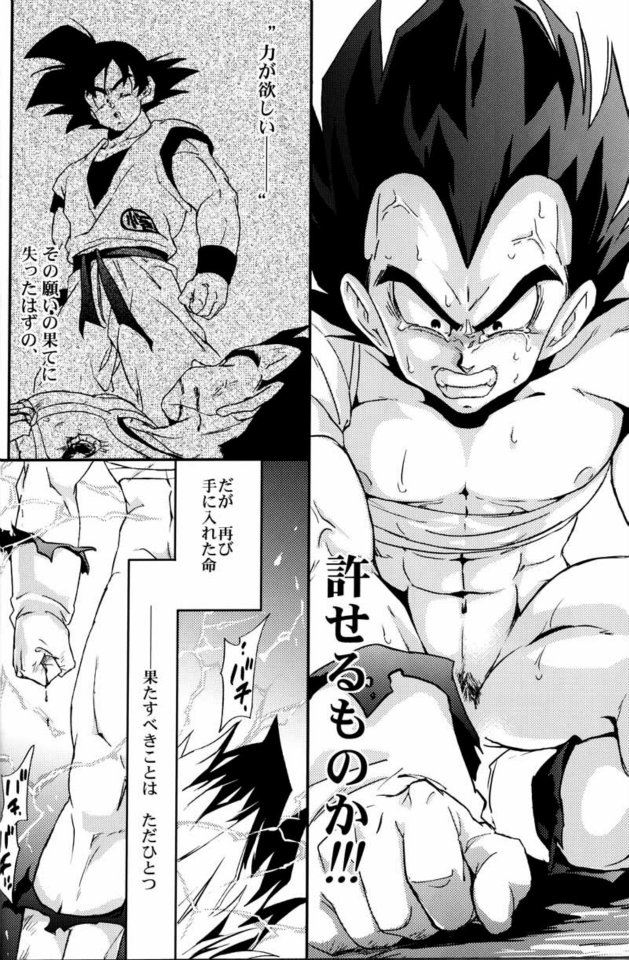 (C75) [毒銃龍 (ノラジ、狛川リミ)] ケモノたちは故郷をめざす (ドラゴンボールZ)