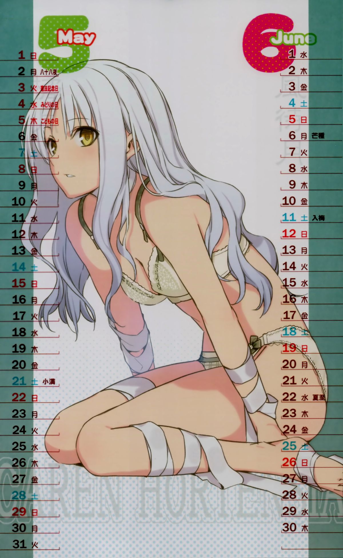 森井さんとこの2011TYPE-MOONCALENDAR