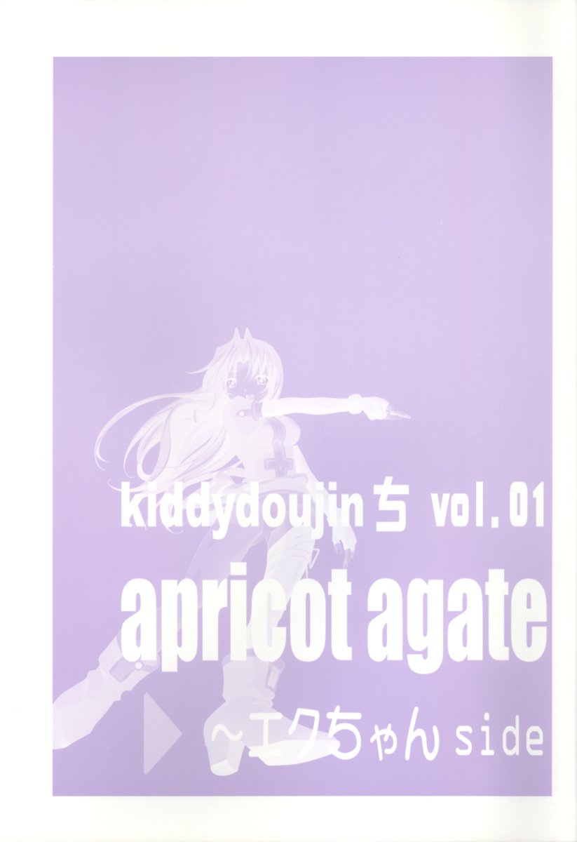(C63) [彩-aya-、ちびっこ改造団 (伴久豊)] apricot agate～エクちゃんside (キディグレイド) [英訳]