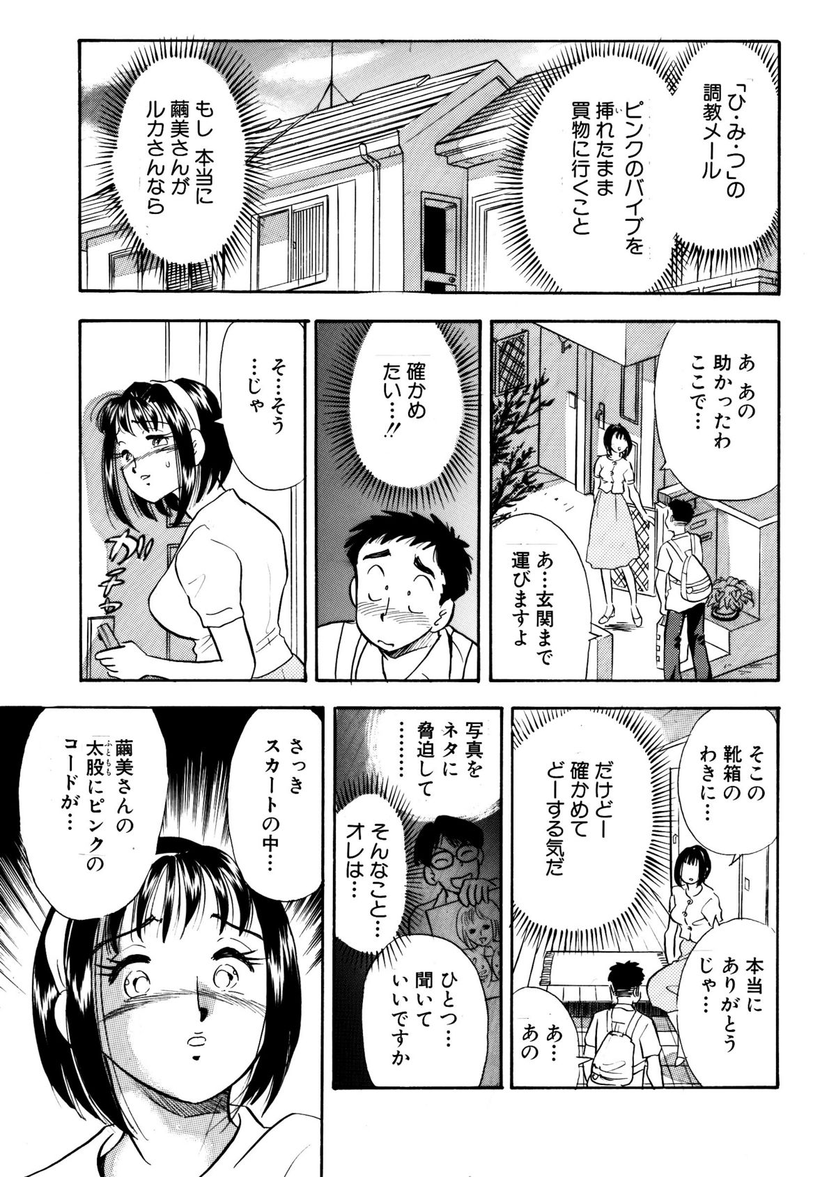 [丸美企画] ひみつ妻