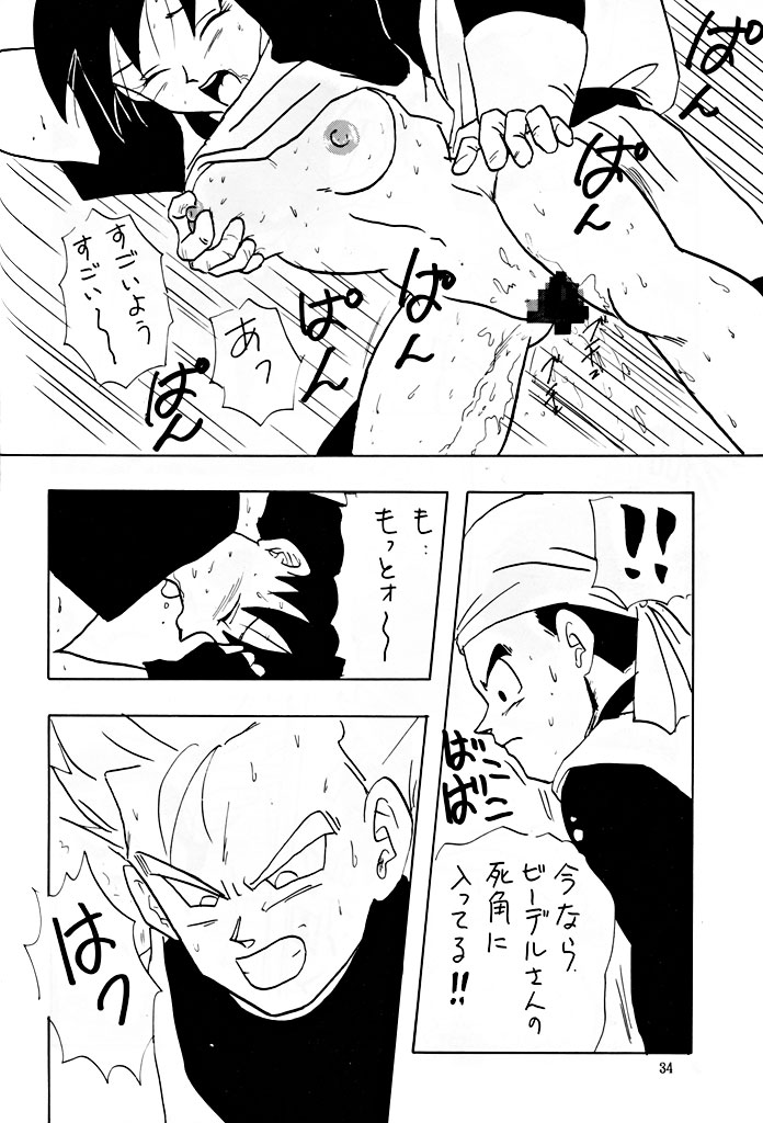 [ふすま御殿＆ちり紙小屋] XX | ダブルエックス (ドラゴンボール)