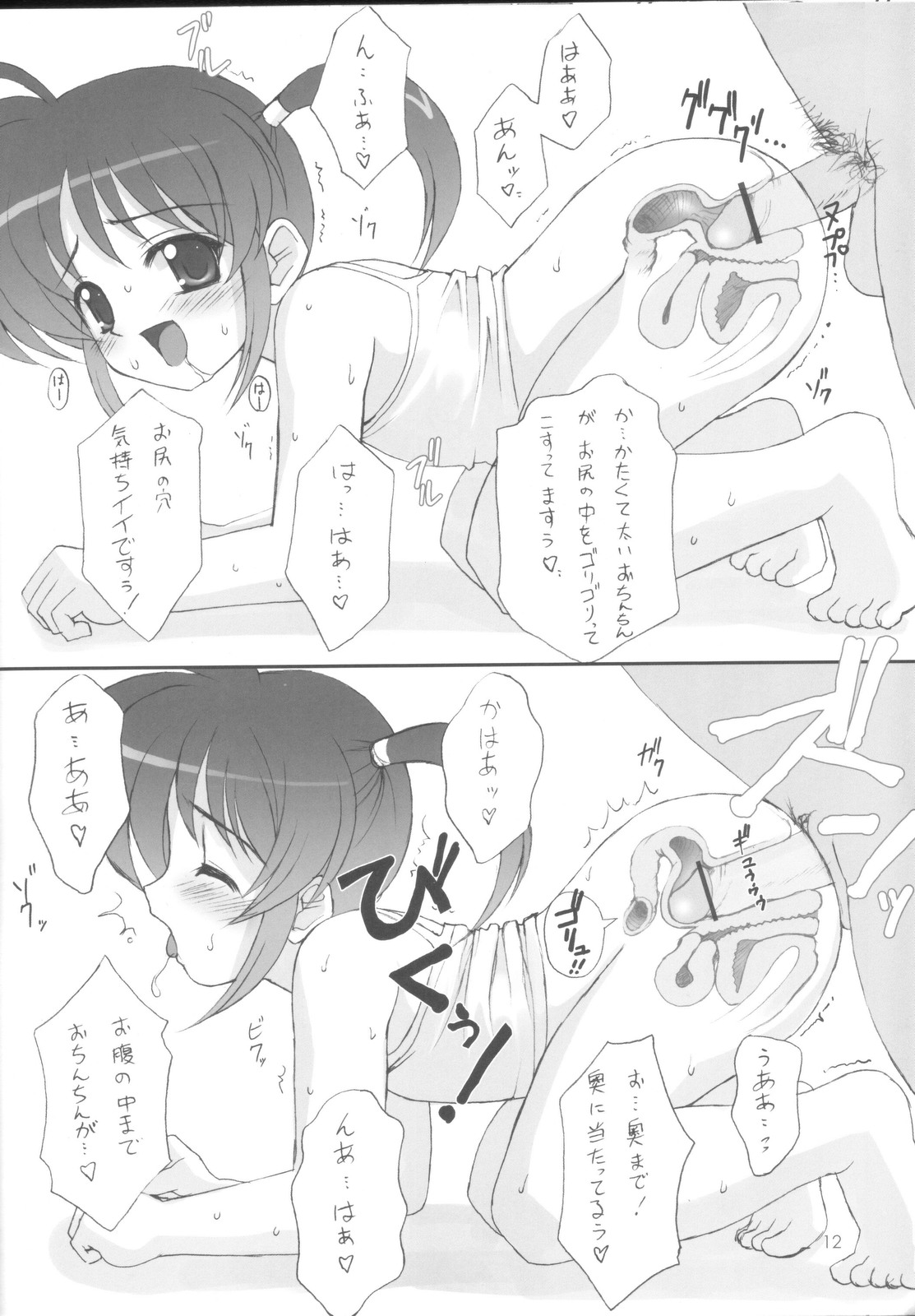 (サンクリ31) [あねこ直道館 (小梅けいと、MARCYどっぐ、ホルモン恋次郎)] 断面王 (よろず)