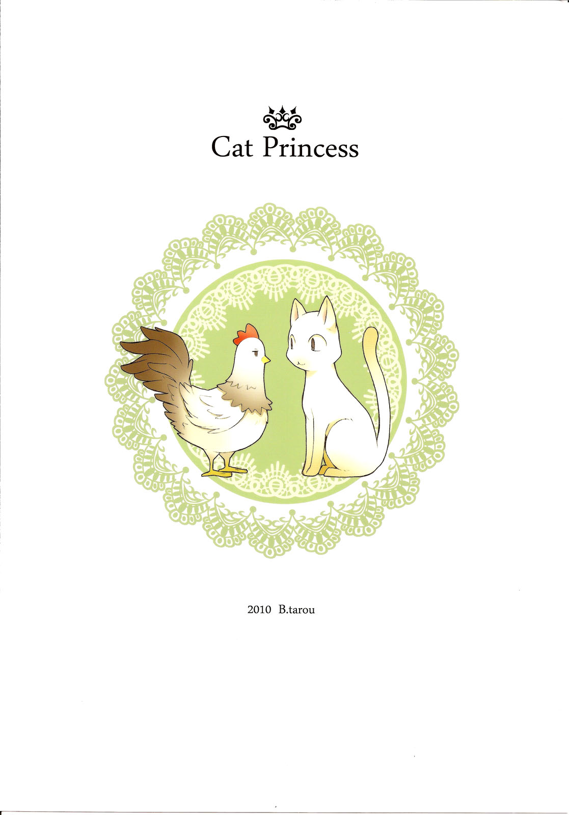 (COMIC1☆4) [ばくはつBRS. (B.たろう)] Cat Princess (FF外伝 光の4戦士) [英訳]