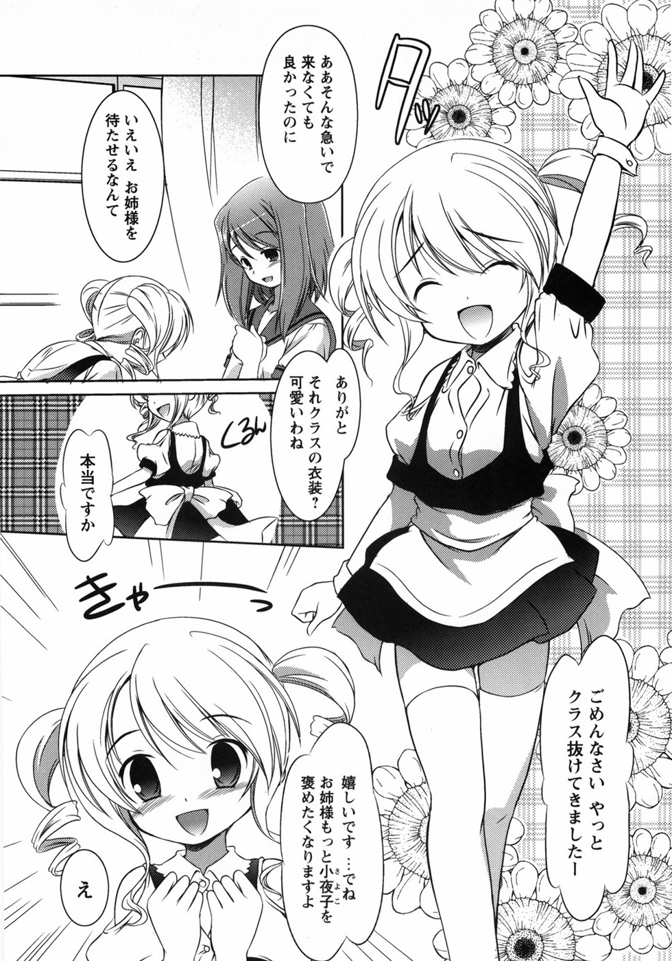 [大秦国王安敦] お兄ちゃん覚悟なさい