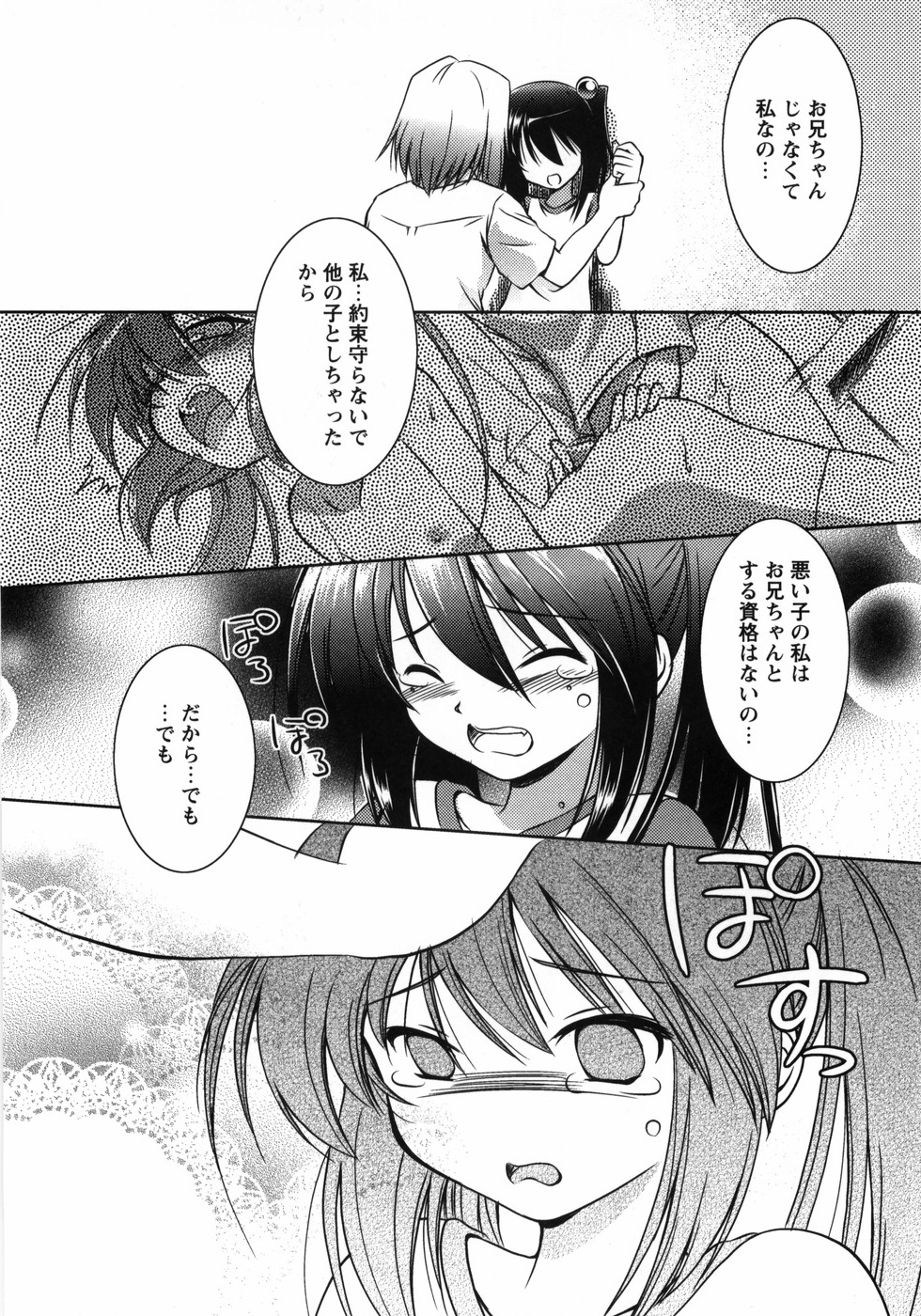 [大秦国王安敦] お兄ちゃん覚悟なさい