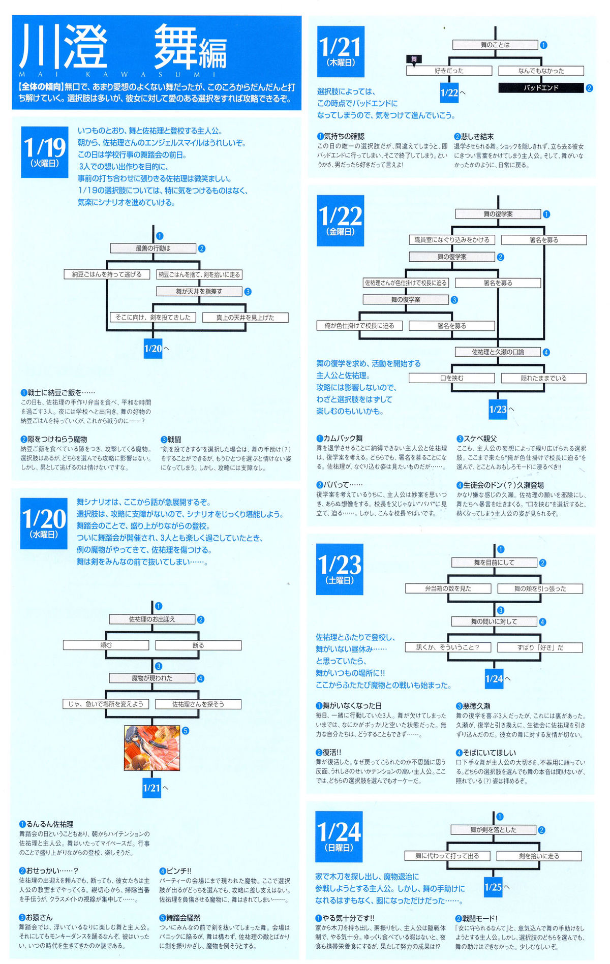 カノンビジュアルファンブック