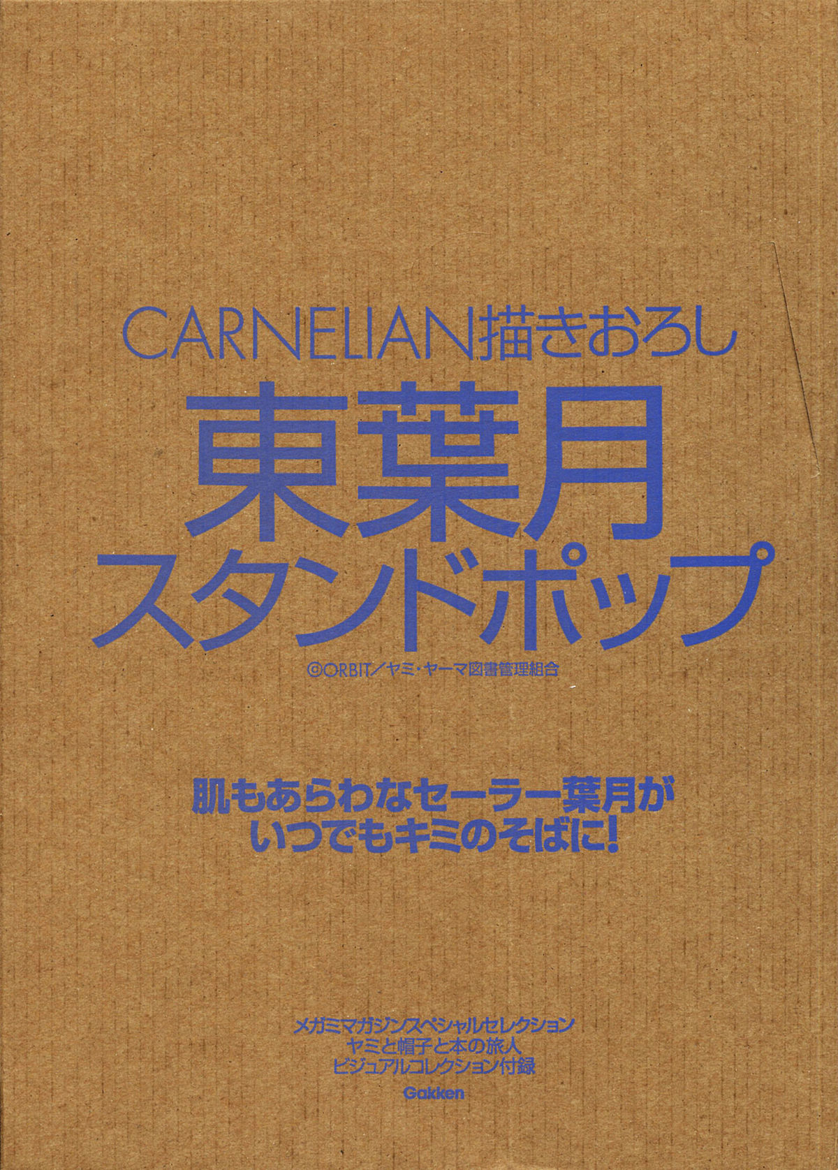 [Carnelian] ヤミと帽子と本の旅人VISUAL COLLECTION
