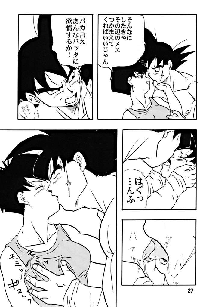 (C51) [ちり紙小屋 , ふすま御殿 (障子張子)] ZZZ (ドラゴンボール)