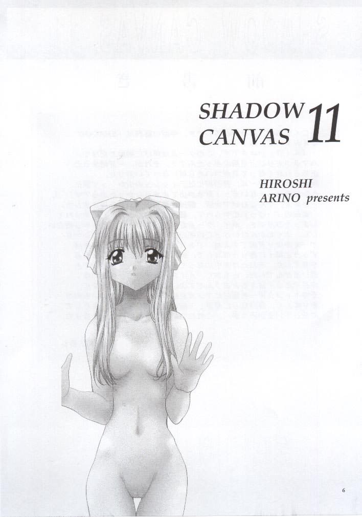 (Cレヴォ28) [スタジオBIG-X (ありのひろし)] SHADOW CANVAS 11 (AIR)