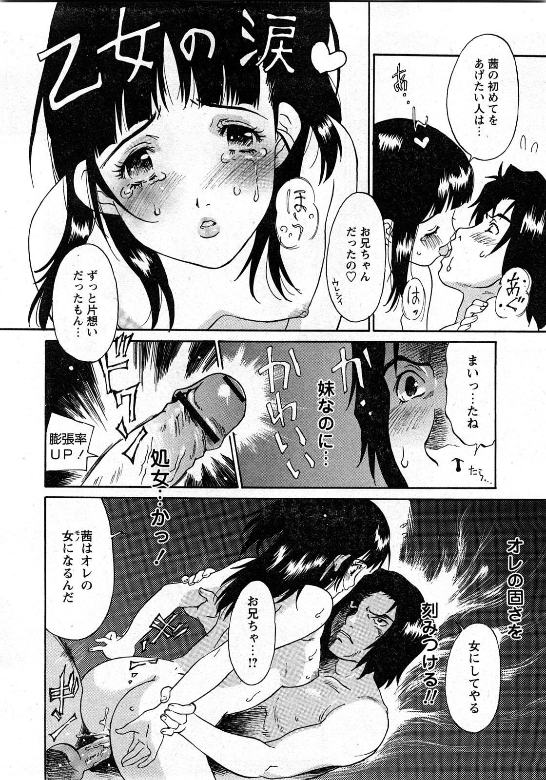 コミック姫盗人 2008年03月号