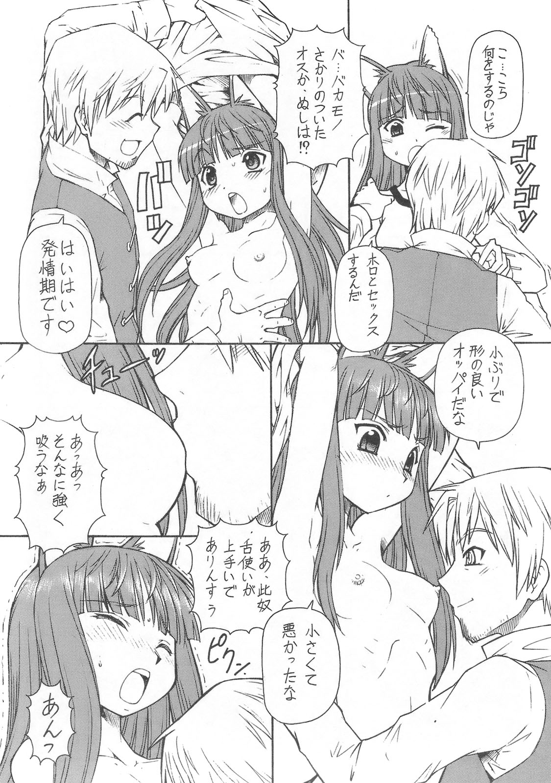 (サンクリ39) [トラ屋 (ITOYOKO)] 狼とバター犬 (狼と香辛料)