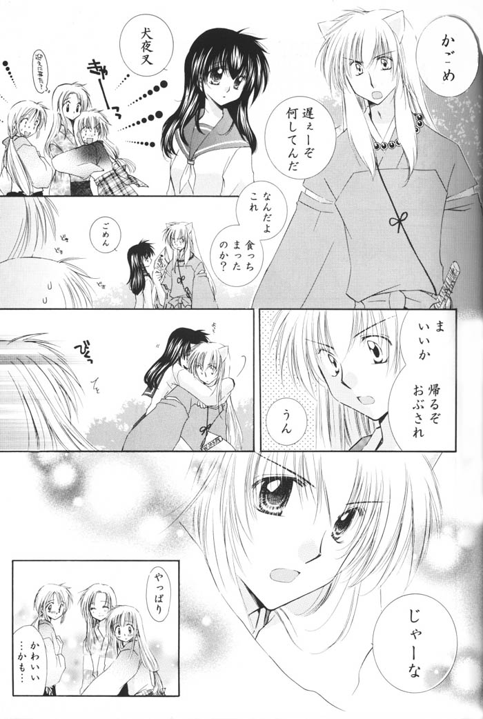 (C69) [桜館 (芹桜さくら)] 星の降り積もる夜に (犬夜叉)