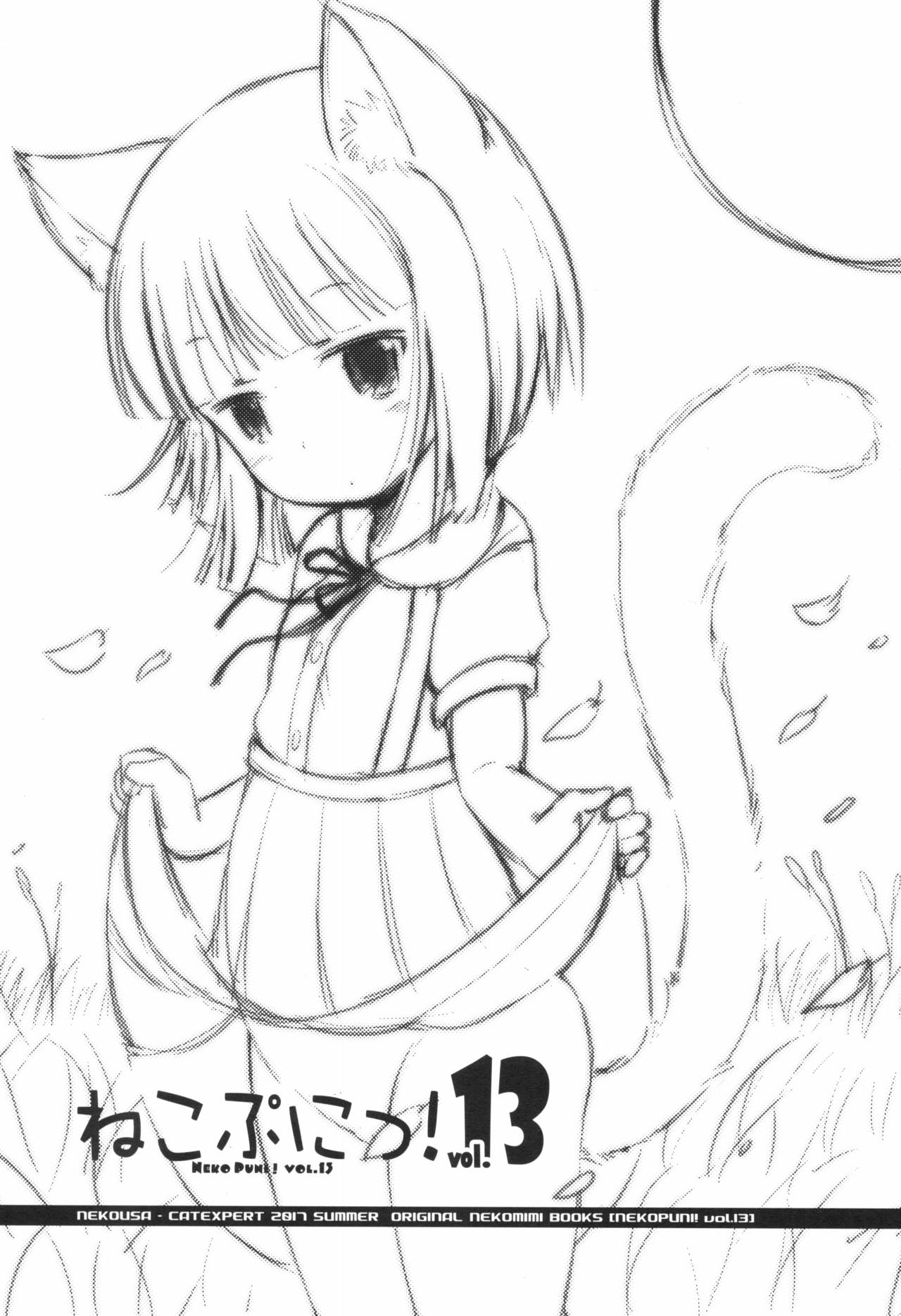 (C92) [きゃっといいえっくす (猫兎)] ねこぷにっ! vol.13