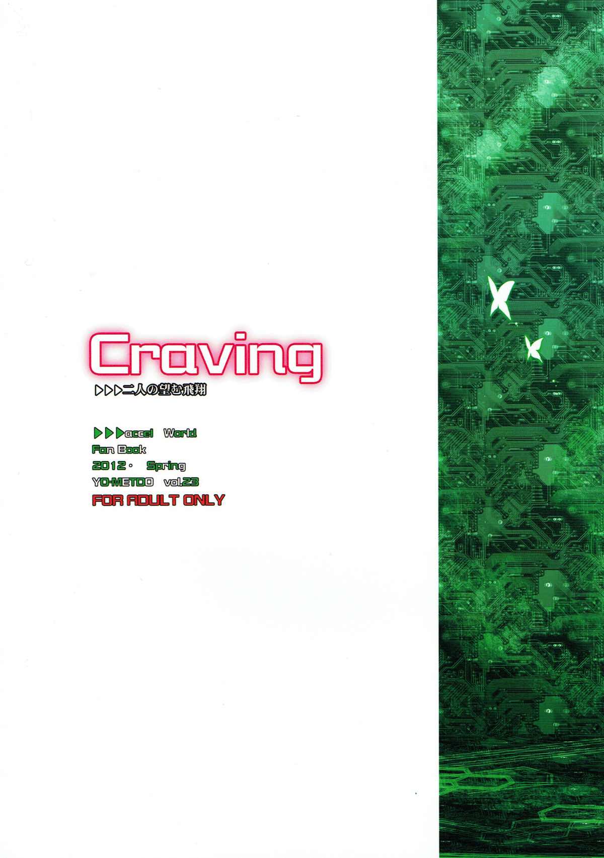 (COMIC1☆6) [妖滅堂 (ヤサカニ・アン)] Craving ▷▷▷二人の望む飛翔 (アクセル・ワールド)