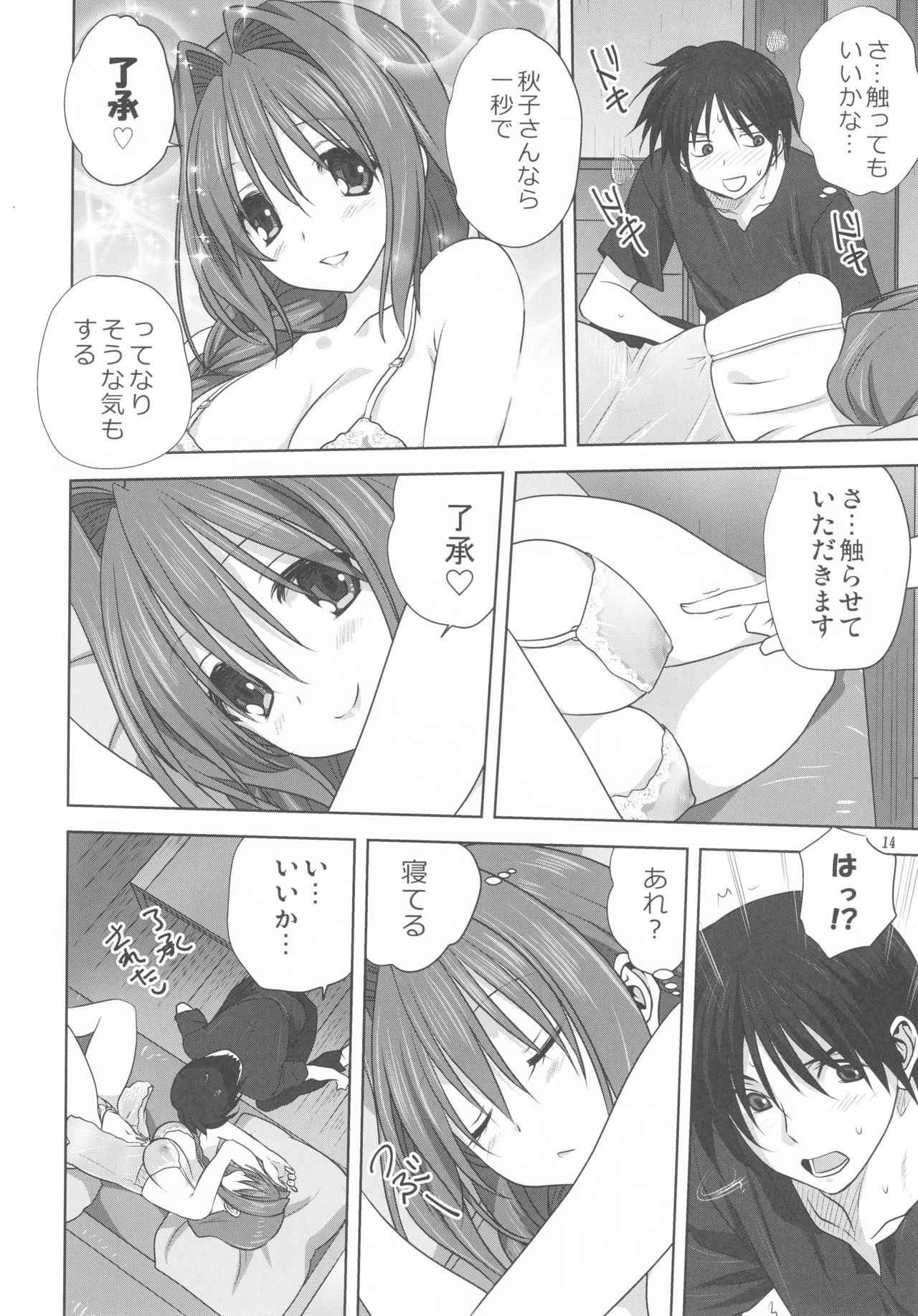 (C91) [みたらし倶楽部 (みたらし侯成)] 秋子さんといっしょ 19 (カノン)