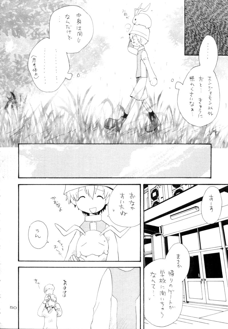 (サンクリ15) [るぐるDNA (よろず)] ゼンダ城の虜 (デジモンアドベンチャー02)