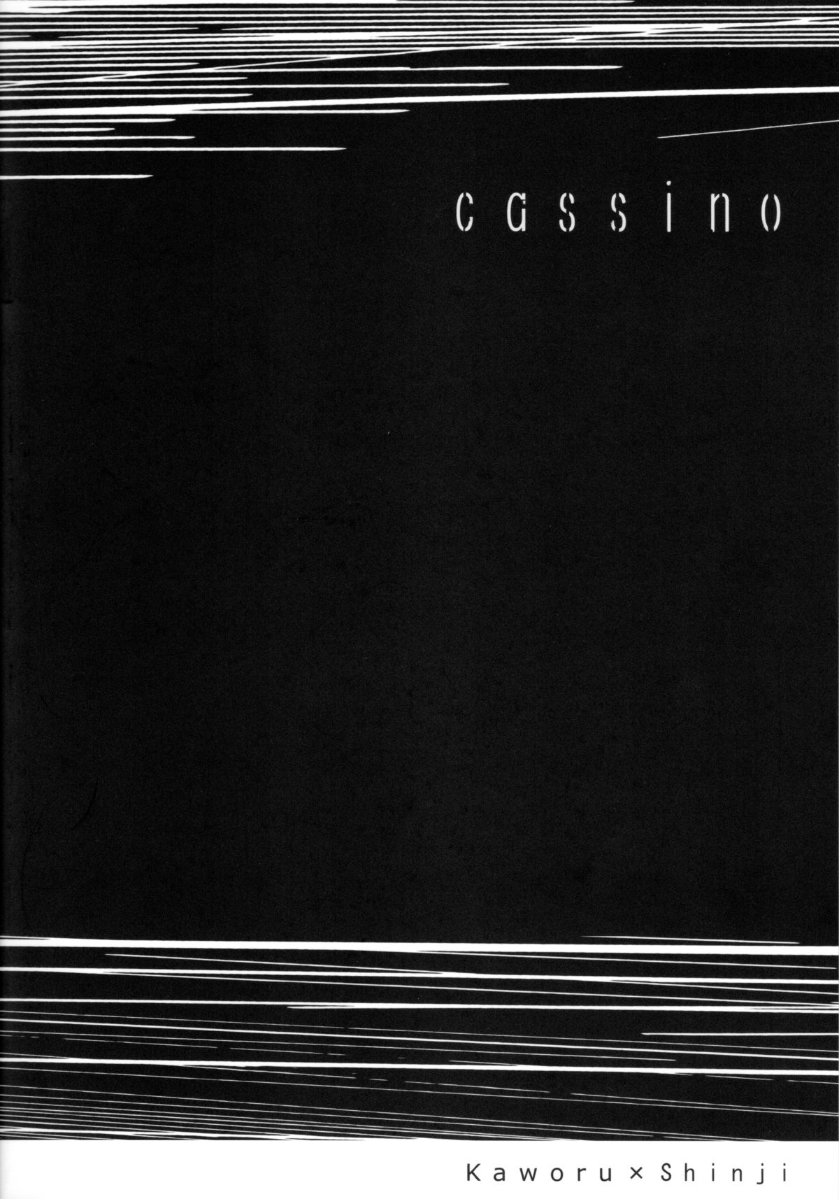 (C78) [cassino (曲行路リリー)] and down & down (新世紀エヴァンゲリオン)