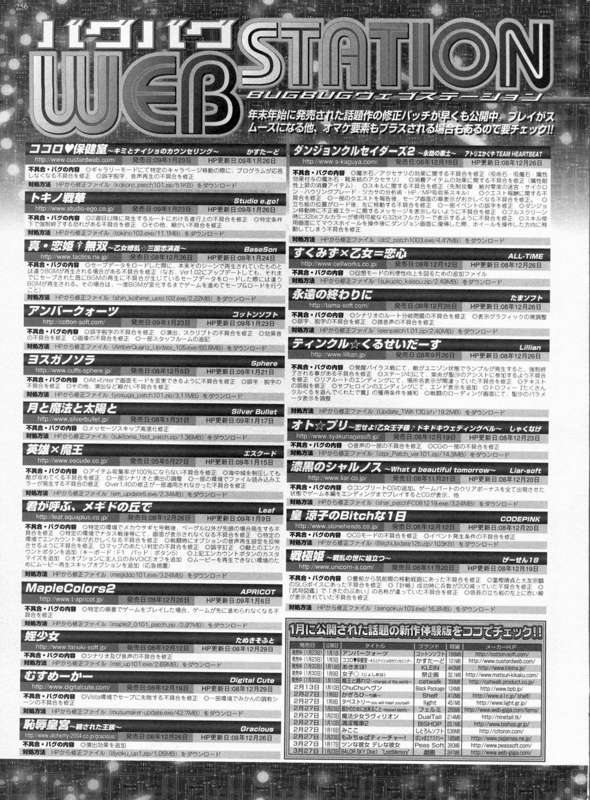 BugBug 2009年3月号 VOL.175