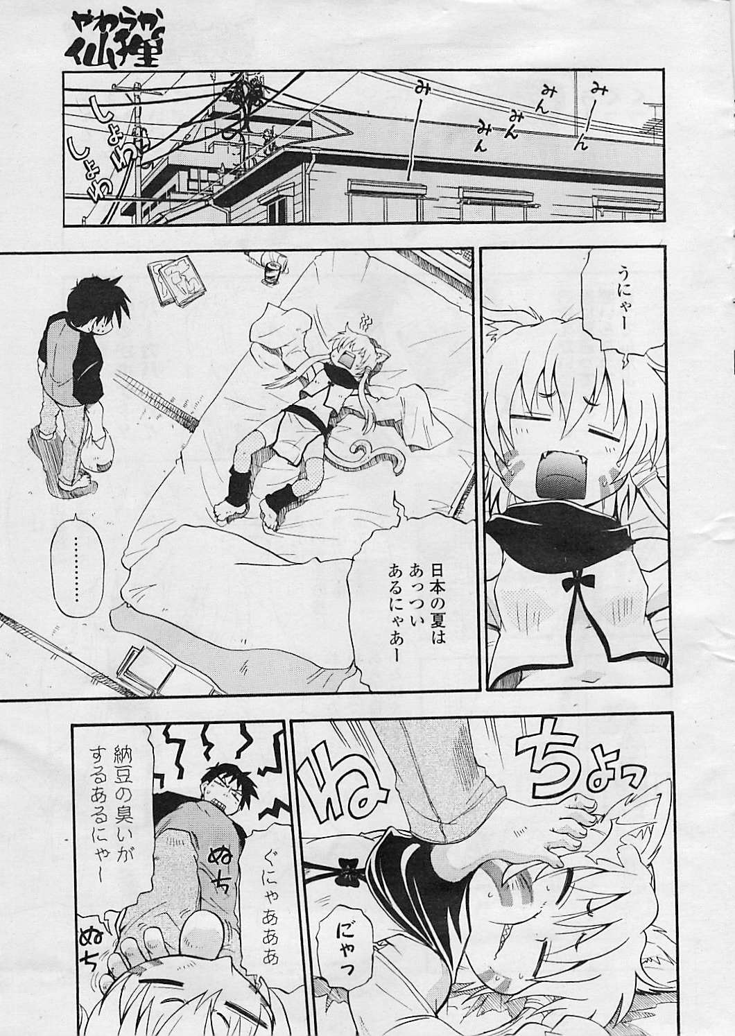 COMIC ポプリクラブ 2008年08月号