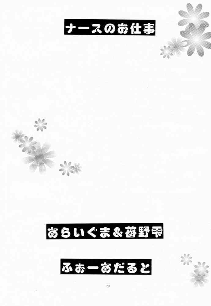 (C59) [とりぷるじょーかー (あらいぐま, 苺野雫)] ナースノオシゴト (夜勤病棟)