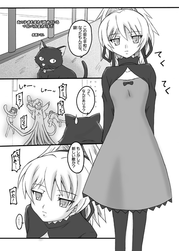 (COMIC1☆2) [ちらりずむ (飛鷹トヲル)] 地上の星 (Darker Than Black)