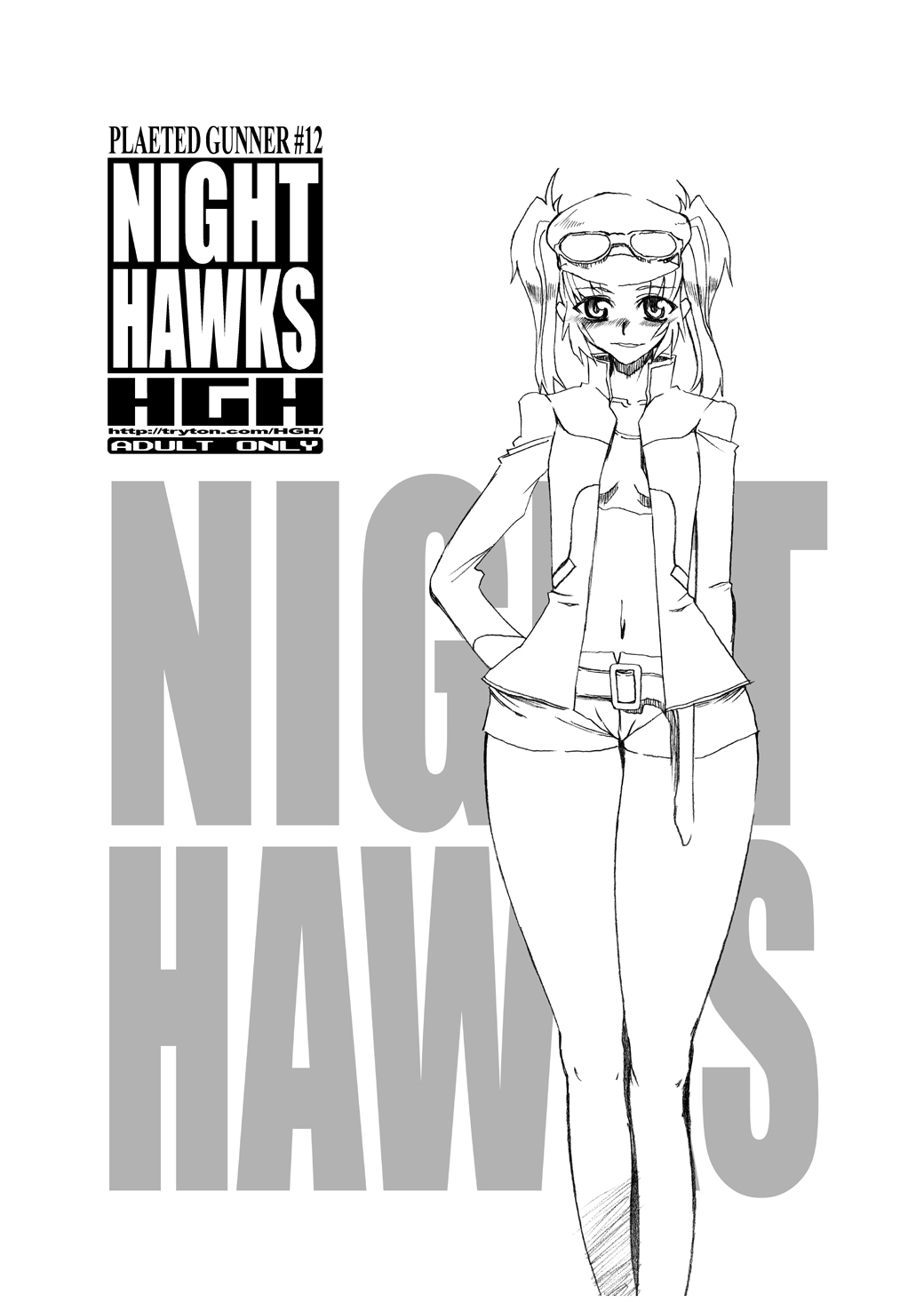 [HGH (HG茶川)] NIGHT HAWKS QUADRILOGY (機動戦士ガンダムSEED DESTINY) [DL版]