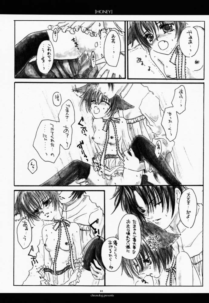 (Cレヴォ27) [CHRONOLOG (Kanaru Fujimiya, 桜沢いづみ)] HONEY (真・女神転生if…)