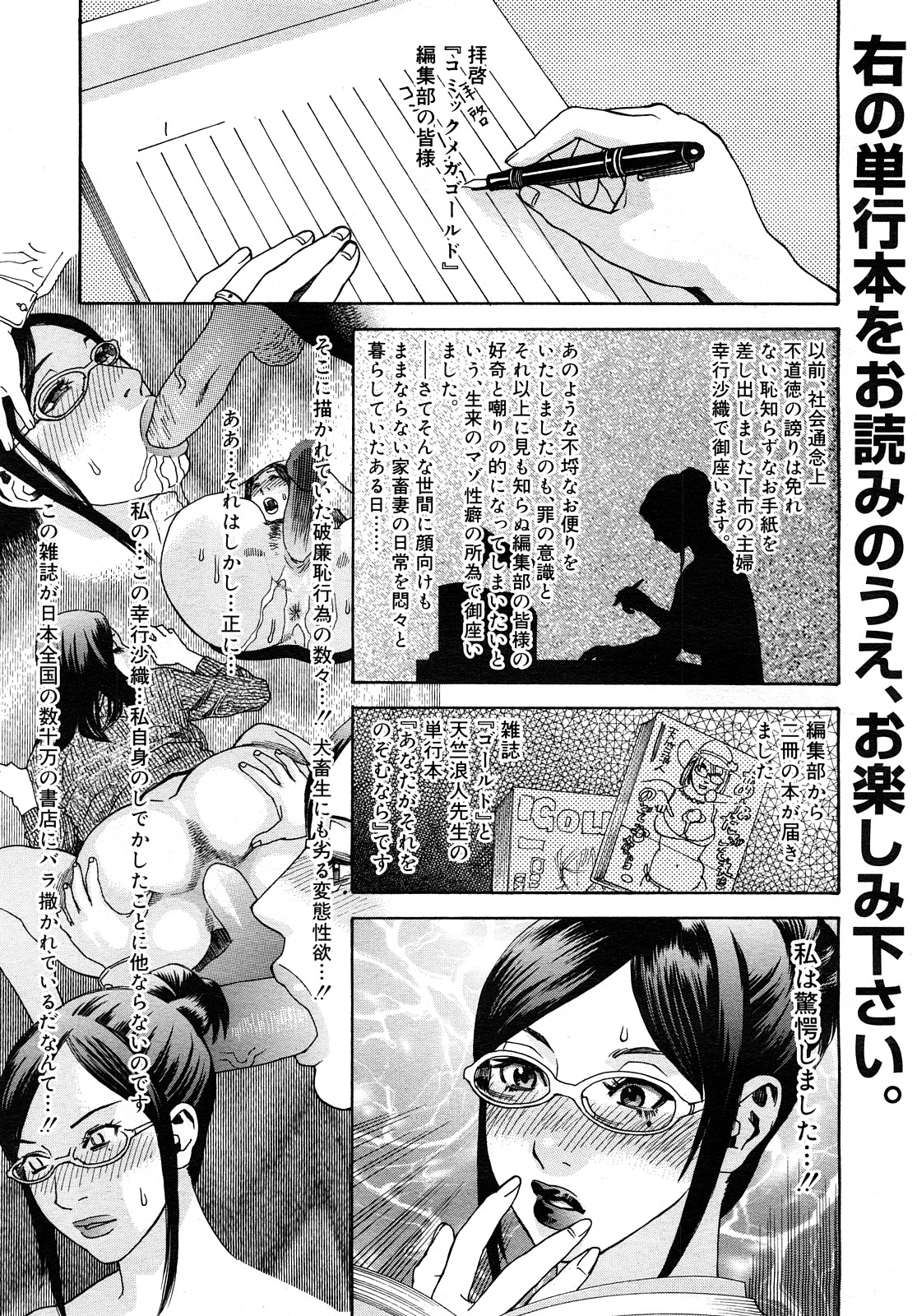 コミック メガGOLD 2008年01月号 Vol.04