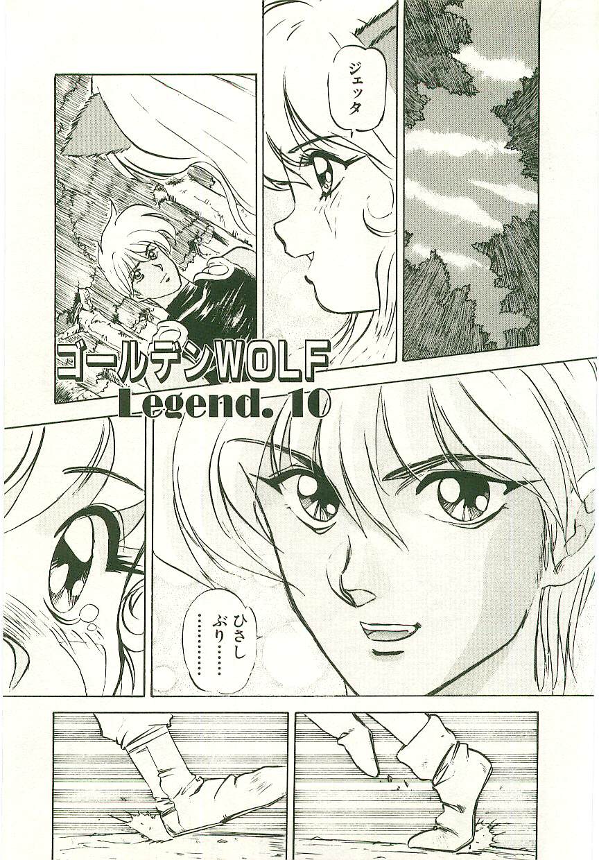 [南野琴] ゴールデンWOLF 2