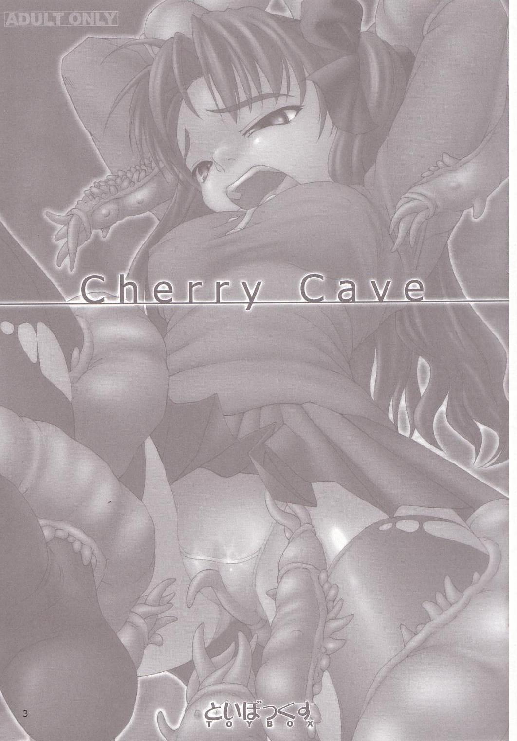 (コミコミ6) [といぼっくす (Jacky、くりから)] Cherry Cave (Fate/stay night)