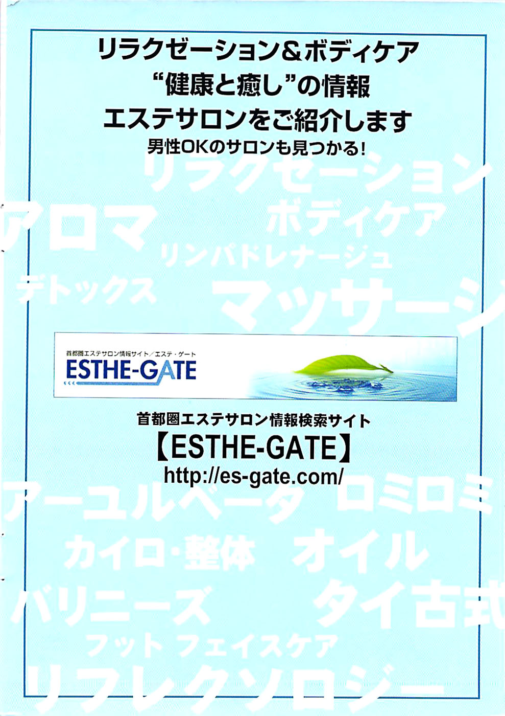 アクションピザッツスペシャル 2008年7月号