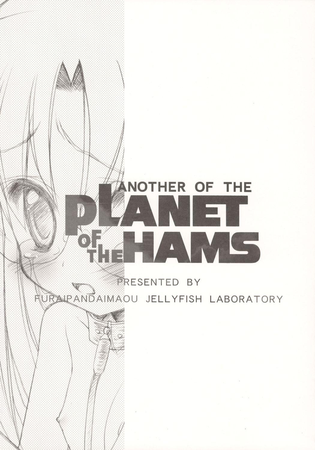 (C71) [ふらいぱん大魔王 (提灯暗光)] ANOTHER OF THE PLANET OF THE HAMS (とっとこハム太郎)