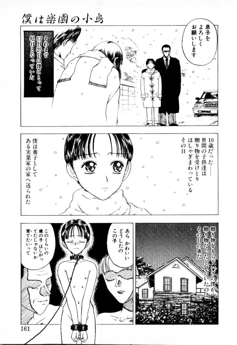 [小林少年] つぼみ