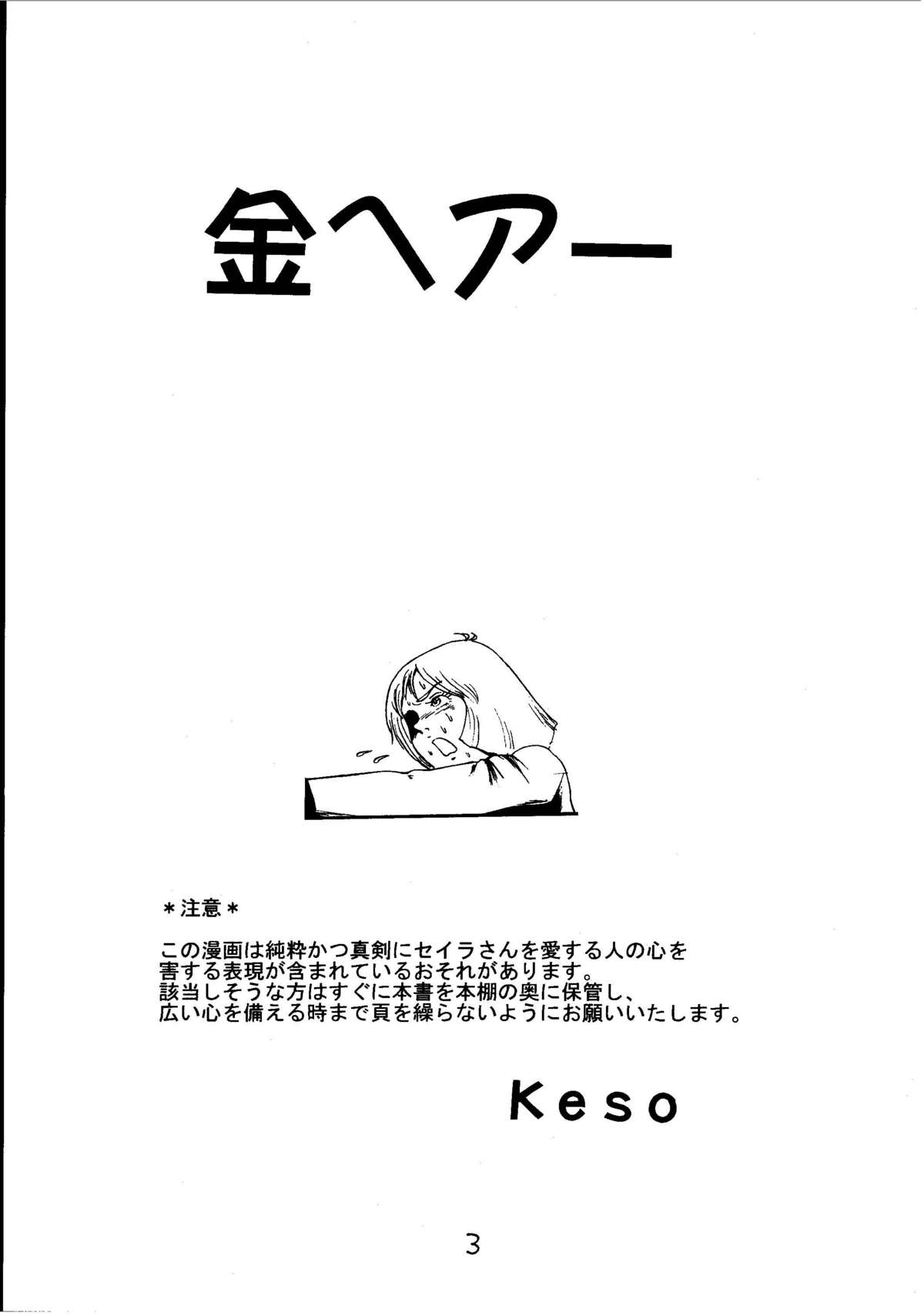 [スカートつき (keso)] 金ヘアー 改訂版 (機動戦士ガンダム)
