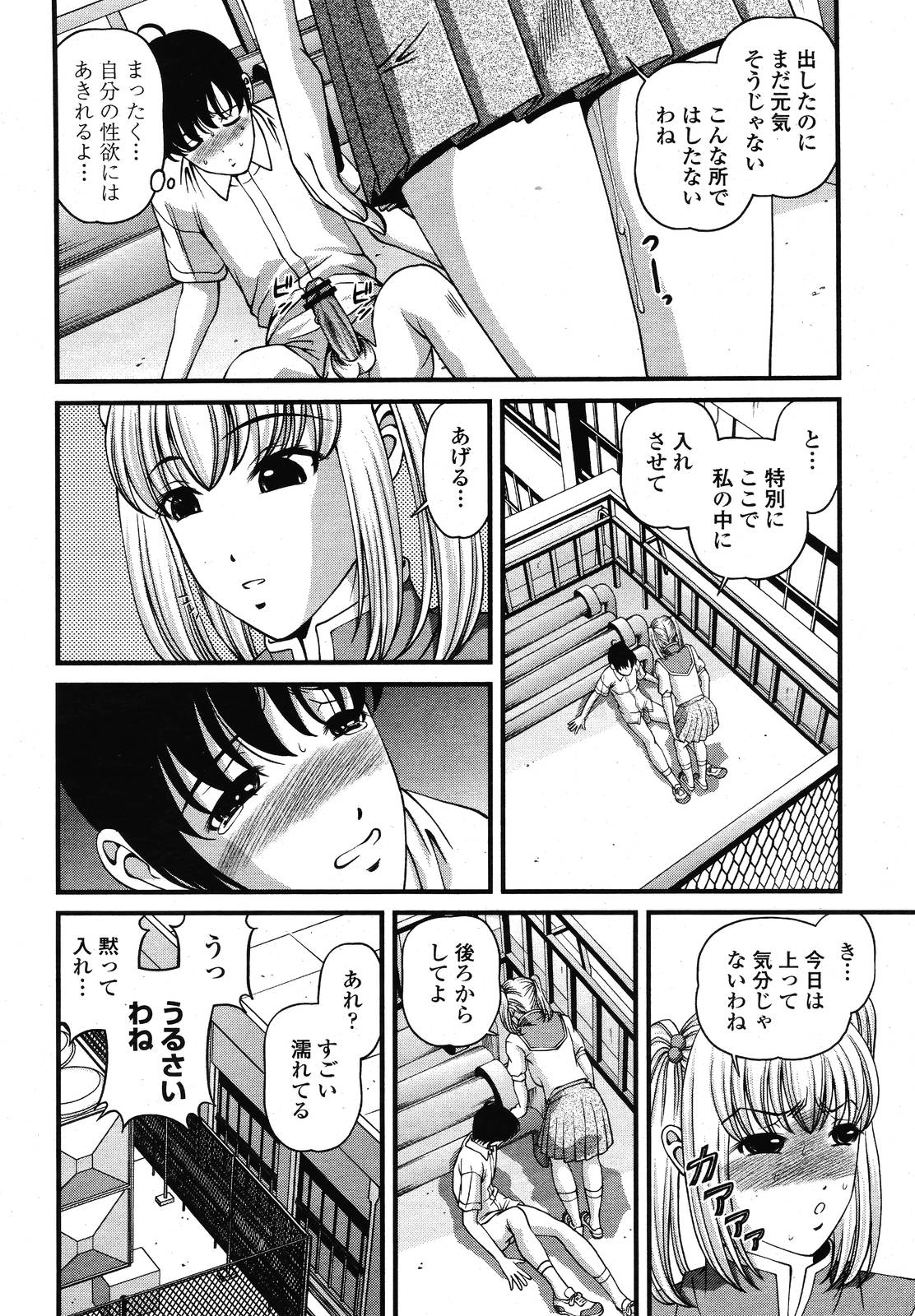 COMIC 桃姫 2009年01月号