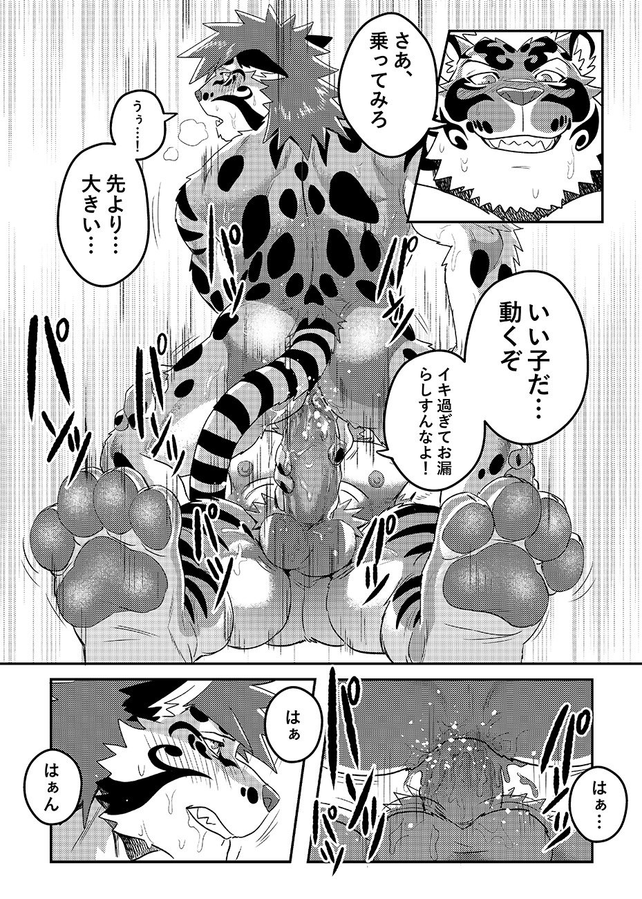 ねこじしEXTRA