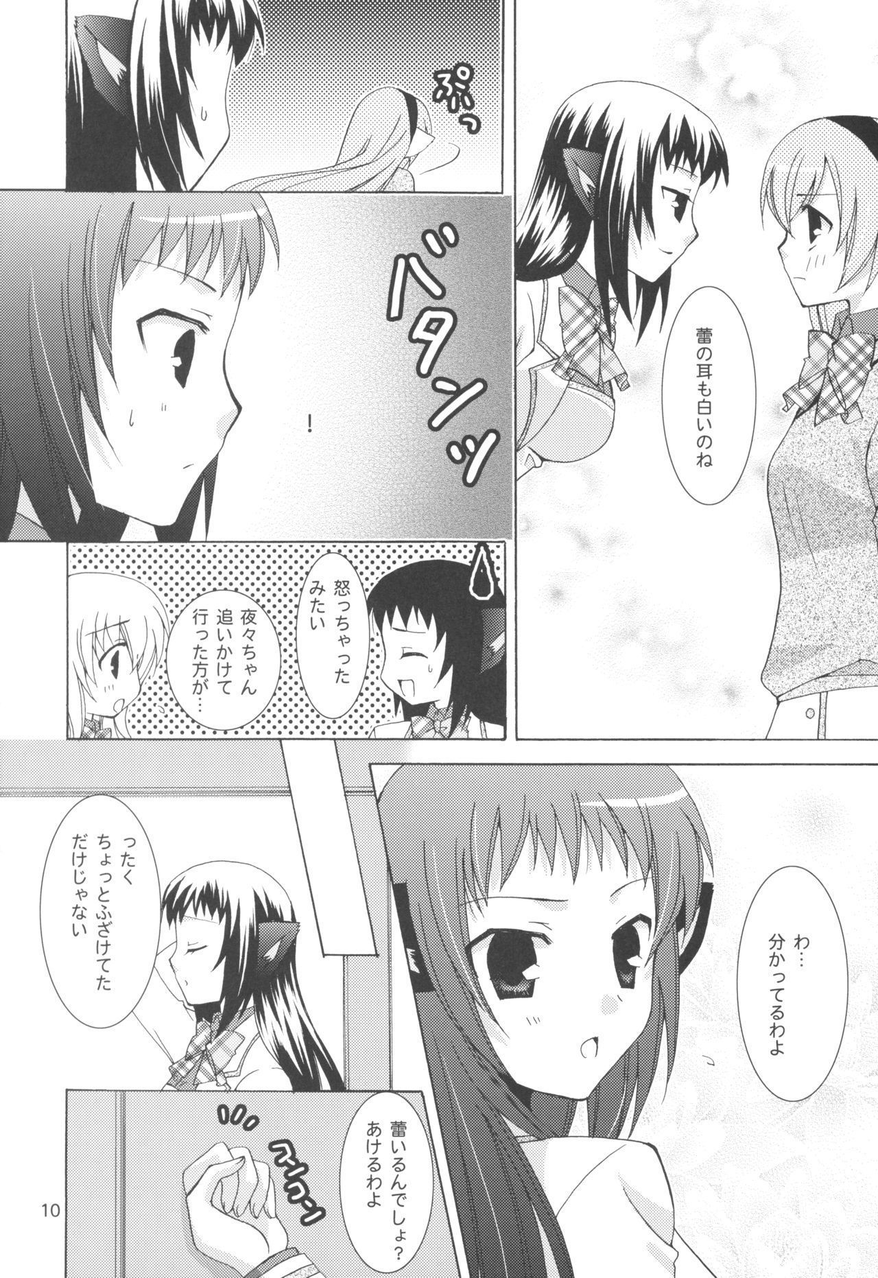 お姉ちゃん様と猫耳そうどう