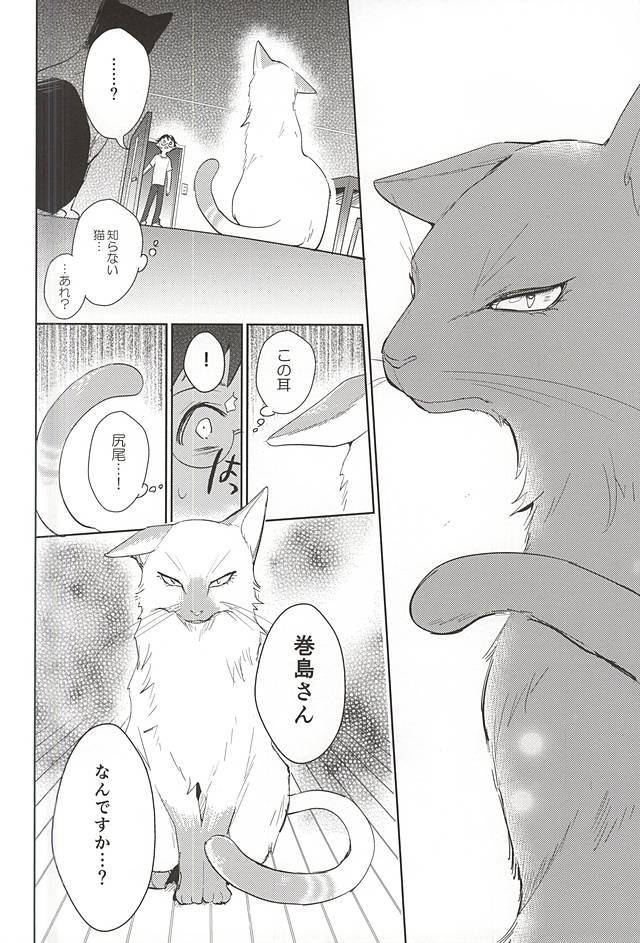 牧島さんが猫に夏島今下。