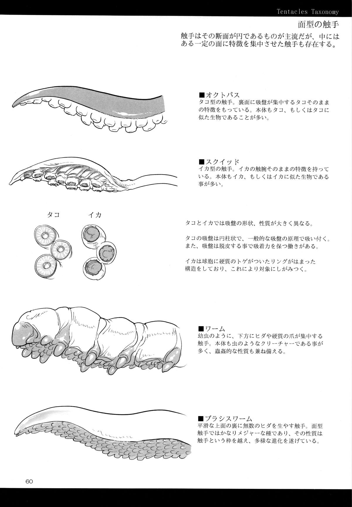 美しい貪欲なZトン神外総集編