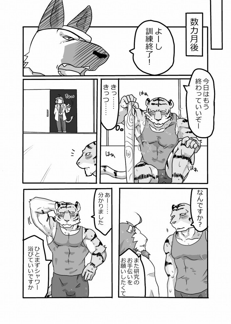 メディカルチェック