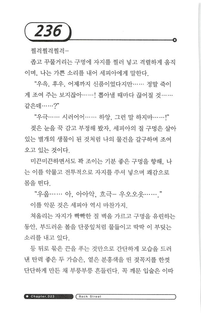 최면게임 - 타락하는 공주기사