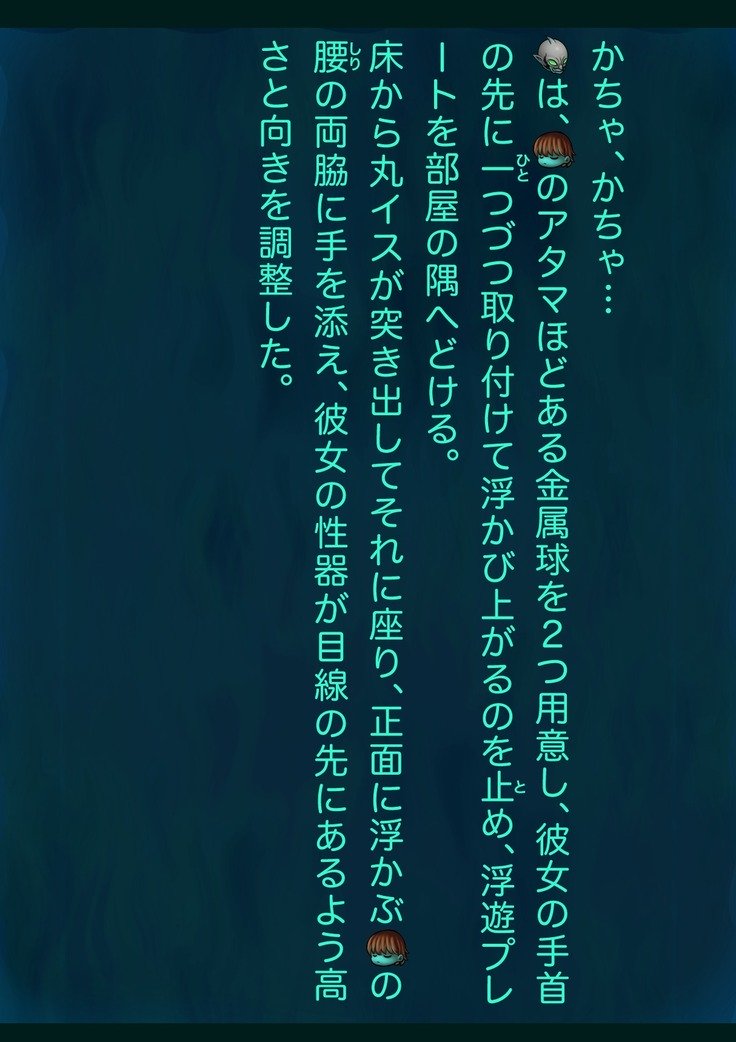 ありさの実研キロク13-ぼたいひんぴょう会-